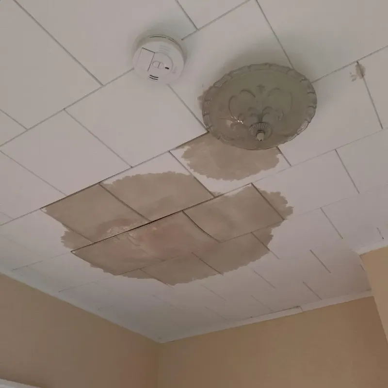 Ceiling Water Damage Repair in Fayetteville, TN