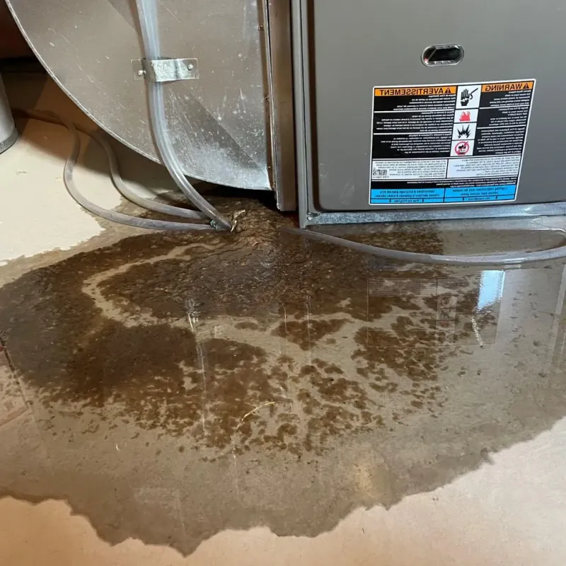 Pipe Burst and Leak Restoration in Fayetteville, TN