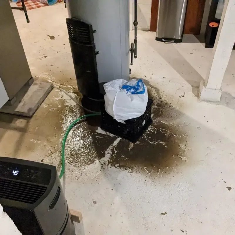 Sewage Backup Cleanup Service in Fayetteville, TN